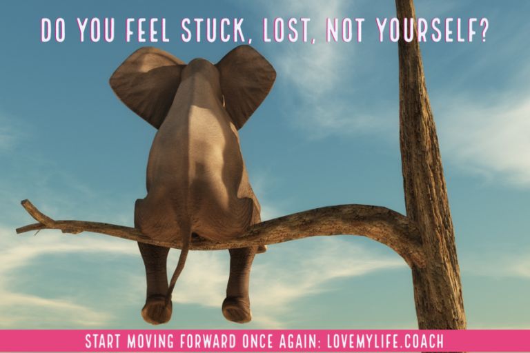 66480E5D 28F9 4FDE A011 A2104CCBAAB8 768x512