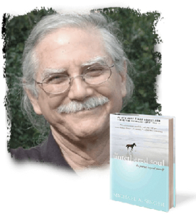 Michael Singer 8 week course The Untehthered Soul Course online 1 276x300