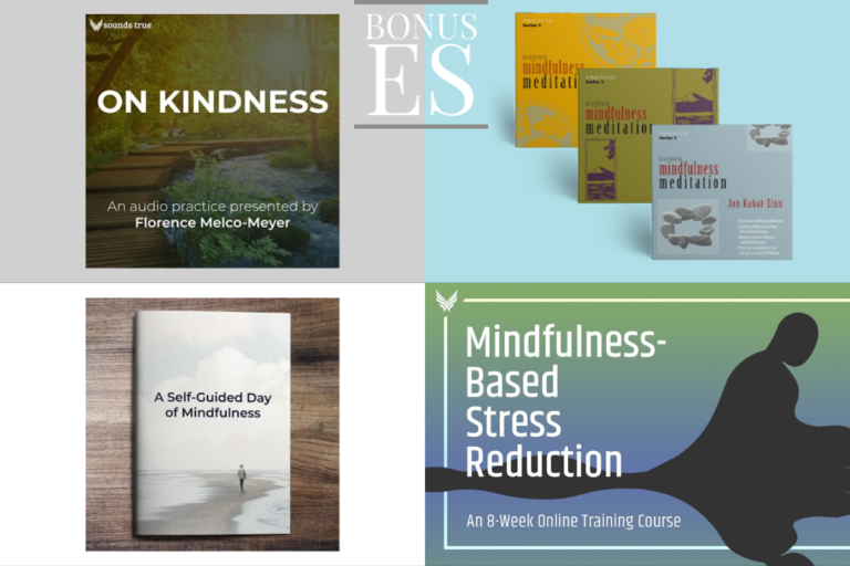Online Course Mindfulness Based Stress Reduction Bonuses to the 8 Week Online Training Course 768x512