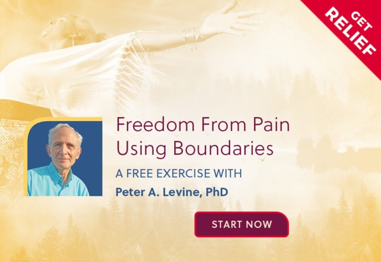 Opt In Banner Freedom from Pai Using Boundaries mobile version 768x528