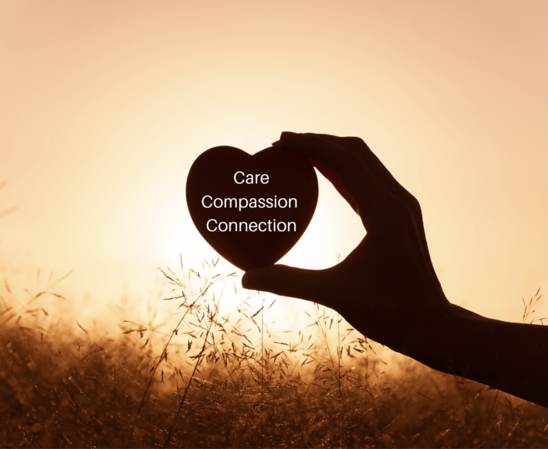 11A7EC2C 9614 450A AF66 9A202112E3A7 768x629