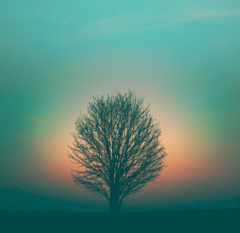 healing color tree 768x747