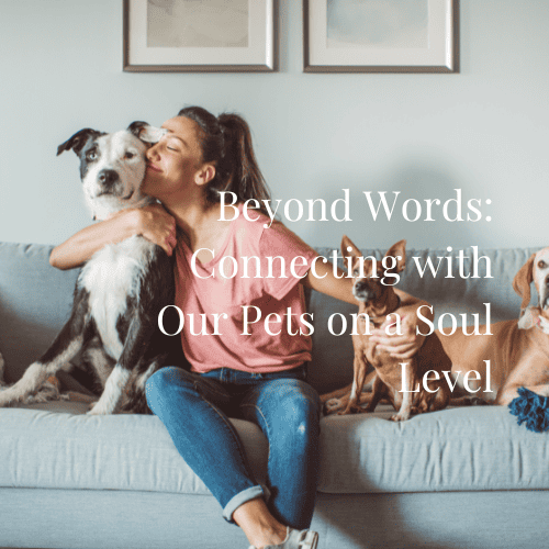 Animal Communication Pet Psychic Readings-Beyond Words Connecting with Our Pets on a Soul Level