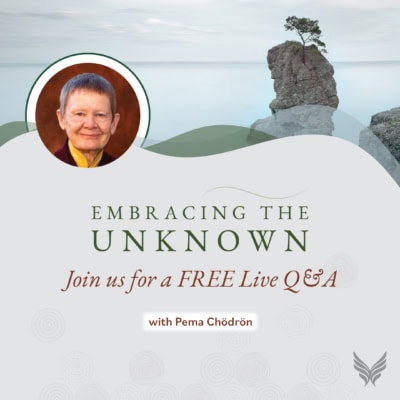 Spiritual Tools from Pema Chodron