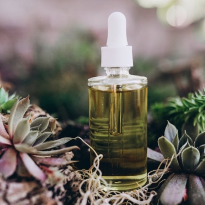 Alternative medicine encompasses many healthcare practices, treatments, and products