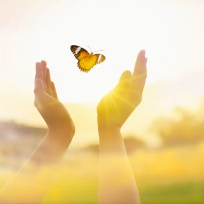 Take the 21 Day EFT Tpping Challenge with Dawson CHurch