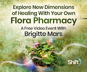 Explore New Dimensions of Healing With Your Own Flora Pharmacy : Foster Wellness With Herbal Healing, Food as Medicine & Natural Lifestyle Techniques with herbalist, author, and university professor Brigitte Mars