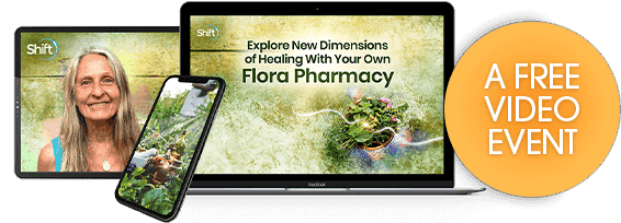 Empower yourself with accessible, natural solutions for holistic wellbeing with Brigitte Mars