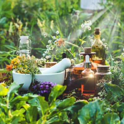 Support your health w/weeds growing right outside your front door