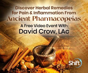 Reduce pain & inflammation by recreating ancient herbal formulas with David Crow