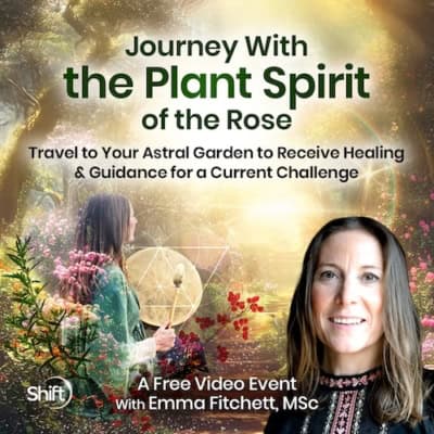 Travel to unseen realms to receive guidance from plant spirit allies and the spirit of the rose