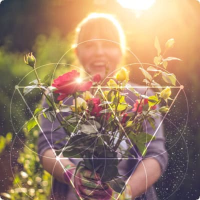 Journey to your astral garden for the loving guidance you need now from spirit of the rose