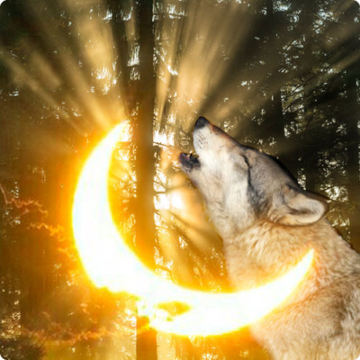 Discover how shamanic healing can clear generational trauma