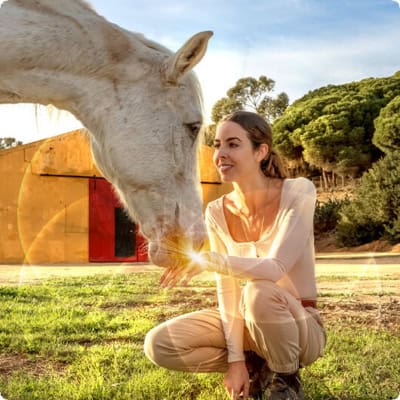 Why your animals choose you across lifetimes – and how it heals you both