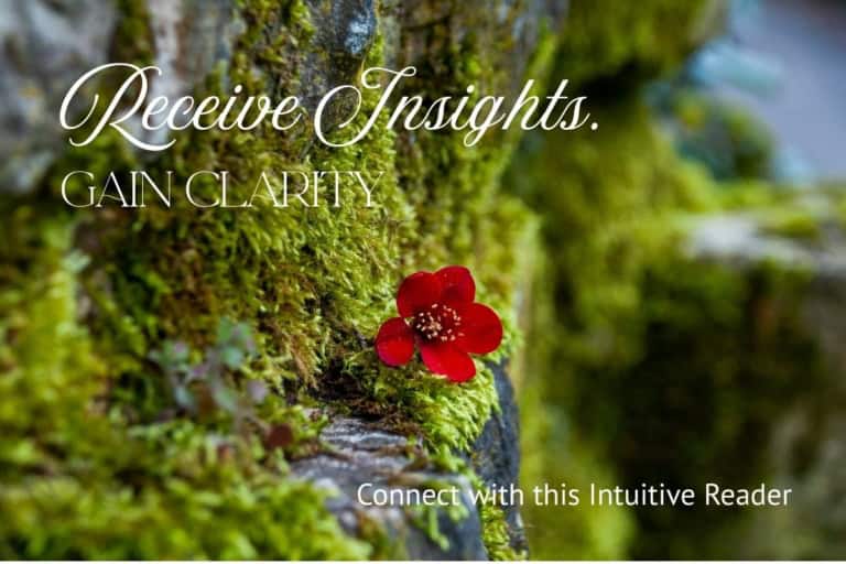 Intutitve Readings default directory cover image 2 768x512