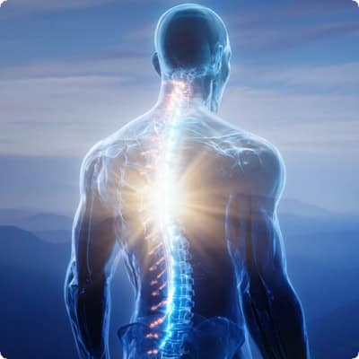 Increase the flow of vitality through awareness and movement