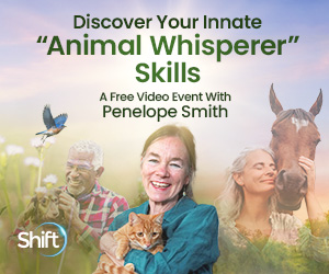 Become an Animal Whisperer: Develop Telepathic Connections to Understand, Heal & Live in Deeper Harmony With Animals & Nature with Penelope Smith