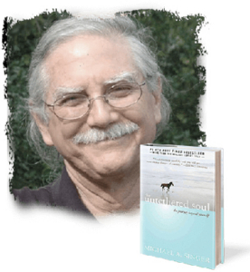 Michael Singer 8 week course The Untehthered Soul Course online 276x300