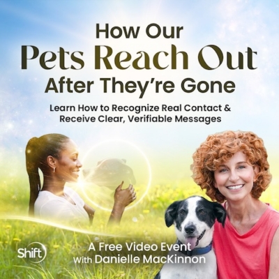 how to know if your pet is sending you signs after death