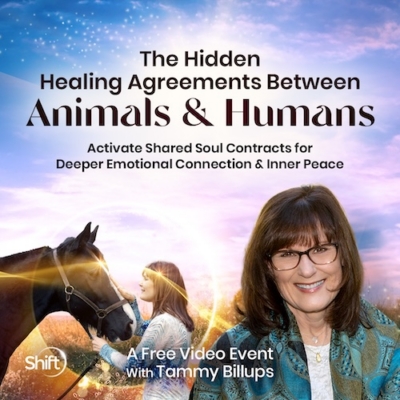 Tammy Billups: Free Event on Animal Soul Contracts & Healing