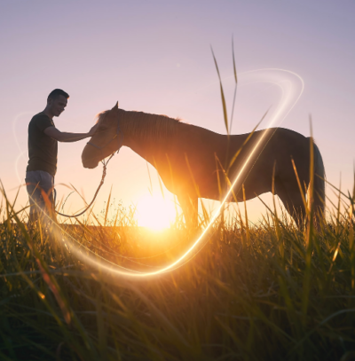 Equine Therapy a sublte form of energy healing