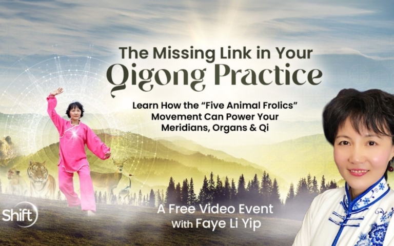 Learn how the Five Animal Frolics powers your meridians organs Qi with Qigong MasterFaye Li Yip  768x480