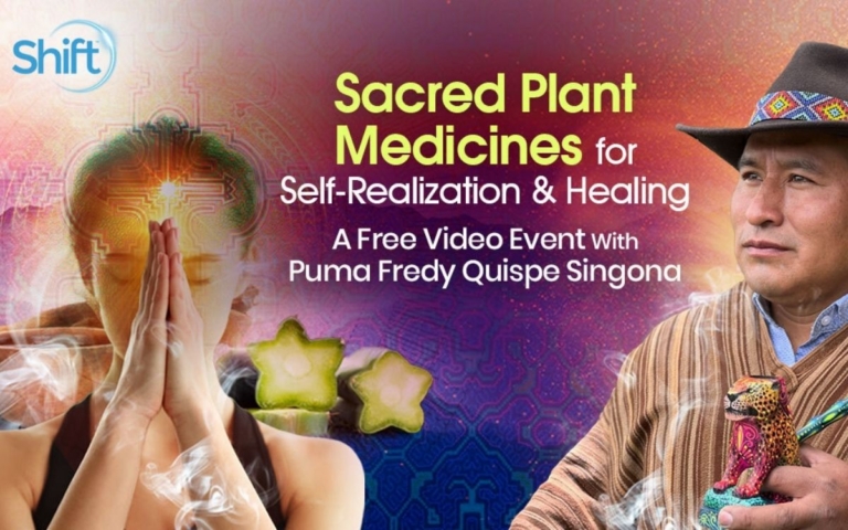Puma Fredy Quispe Singona – Working With the Plant Spirits of Ayahuasca Huachuma 768x480
