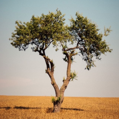 Decision framework for choosing spiritual counseling, healing, or therapy