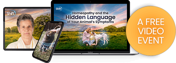 Discover Homeopathy for Animals: Learn to See the Whole Animal, Not Just the Symptom See Your Animal Through the Homeopathic Lens