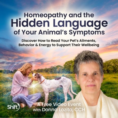 Homeopathy for Animals: Free Event with Donna Lozito, CCH-Discover homeopathic remedies for dogs and cats.