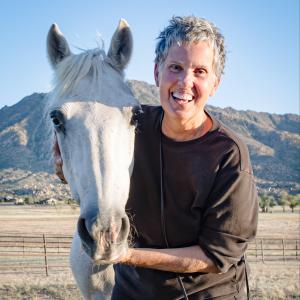 Look beyond the presenting problem using homeopathy for animals