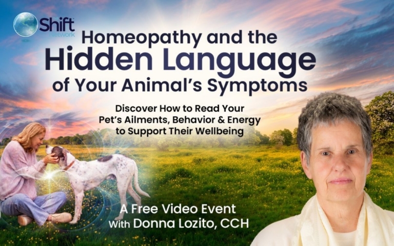 Homeopathy for Animals Free Event with Donna Lozito CCH The Shift Network Directory Cover 768x480
